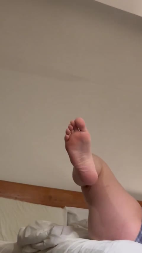 Hollyloly Video #3z2T7u